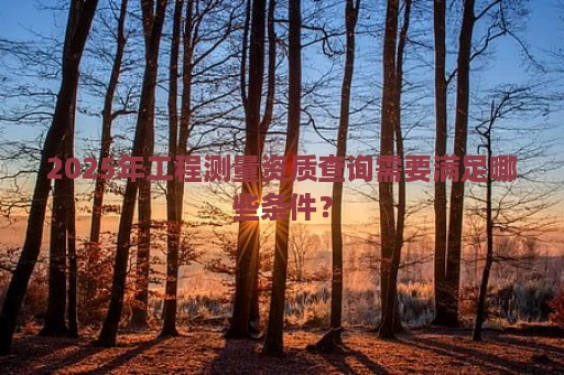 2025年工程测量资质查询需要满足哪些条件？