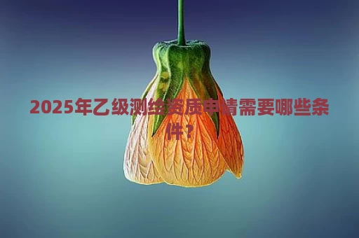 2025年乙级测绘资质申请需要哪些条件？