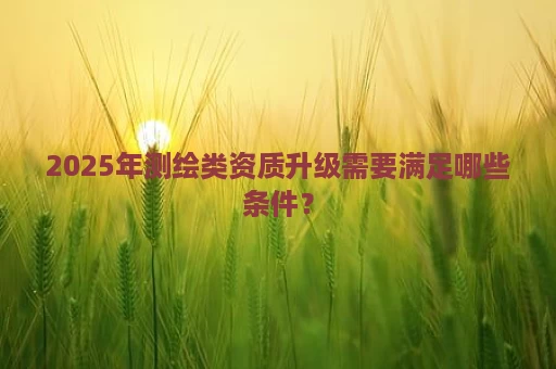 2025年测绘类资质升级需要满足哪些条件？