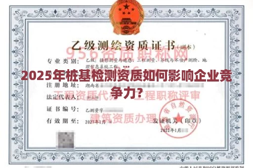 2025年桩基检测资质如何影响企业竞争力？