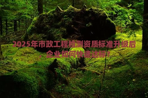 2025年市政工程检测资质标准升级后，企业如何快速达标？