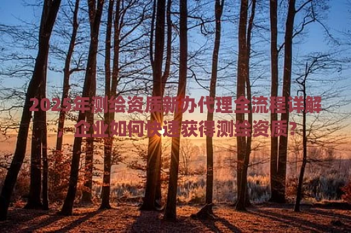 2025年测绘资质新办代理全流程详解，企业如何快速获得测绘资质？