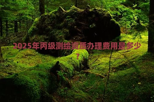 2025年丙级测绘资质办理费用是多少？