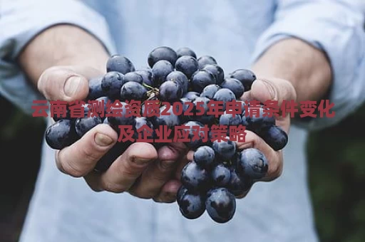云南省测绘资质2025年申请条件变化及企业应对策略