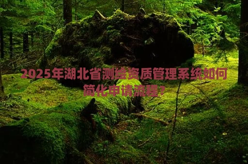 2025年湖北省测绘资质管理系统如何简化申请流程？
