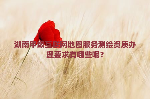 湖南甲级互联网地图服务测绘资质办理要求有哪些呢？