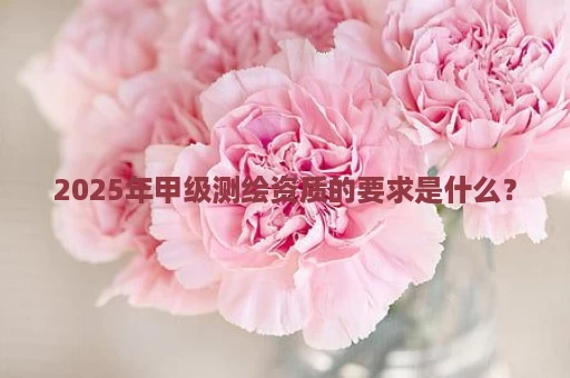 2025年甲级测绘资质的要求是什么？