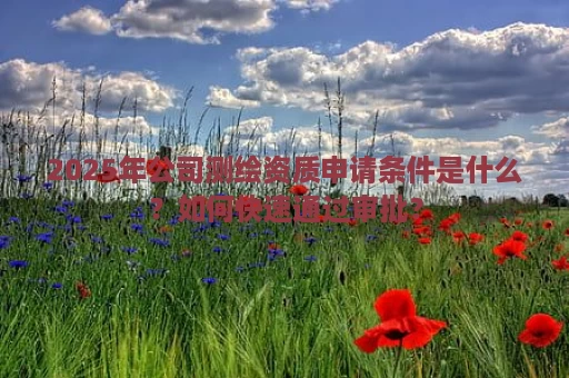 2025年公司测绘资质申请条件是什么？如何快速通过审批？