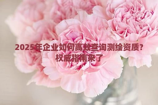 2025年企业如何高效查询测绘资质？权威指南来了