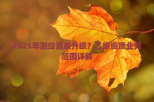 2025年测绘资质升级？乙级资质业务范围详解