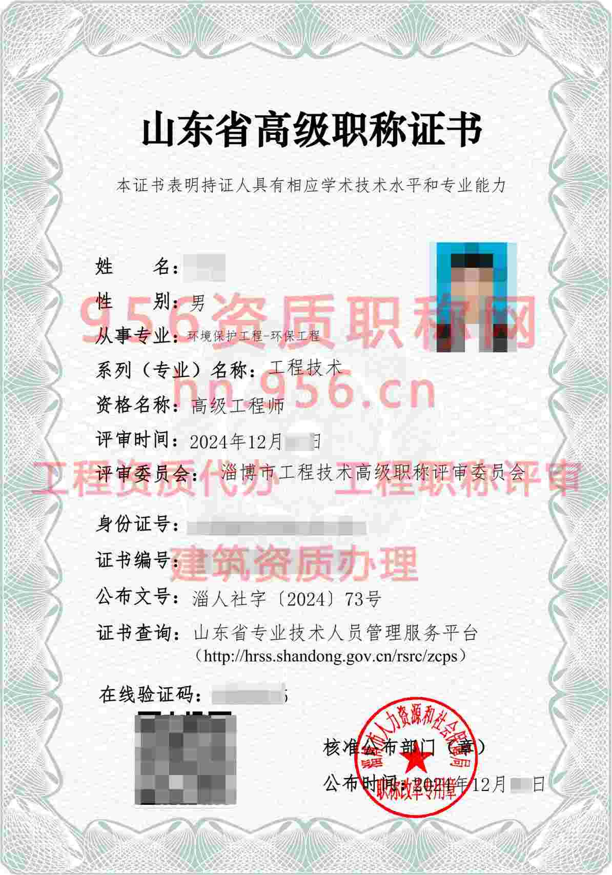 2024年12月山东省环保工程高级职称案例展示02