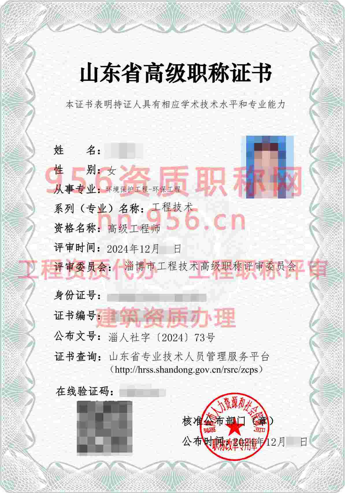 2024年12月山东省环保工程高级职称案例展示03