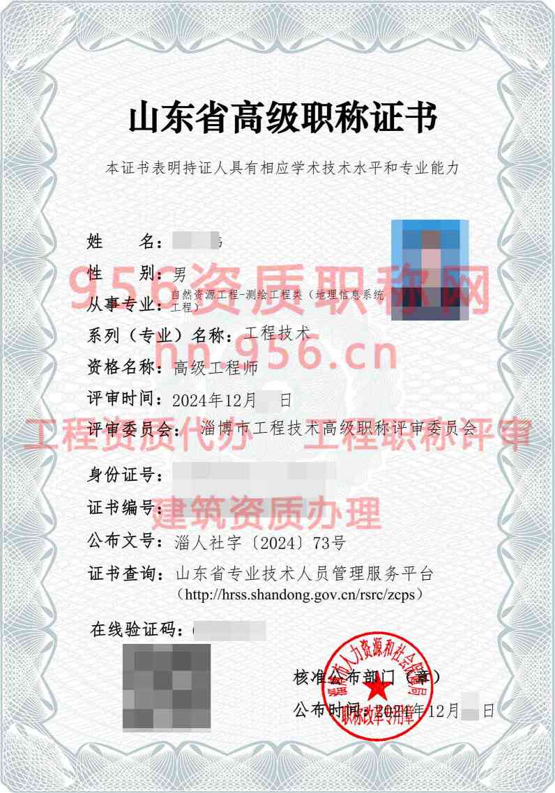 2024年12月山东省测绘工程高级职称案例展示04