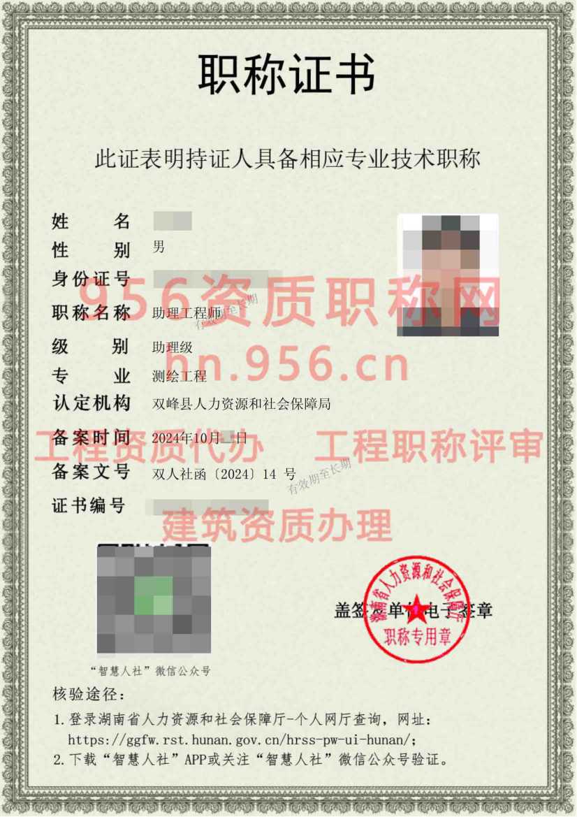 2024年10月湖南省测绘工程初级职称案例展示08