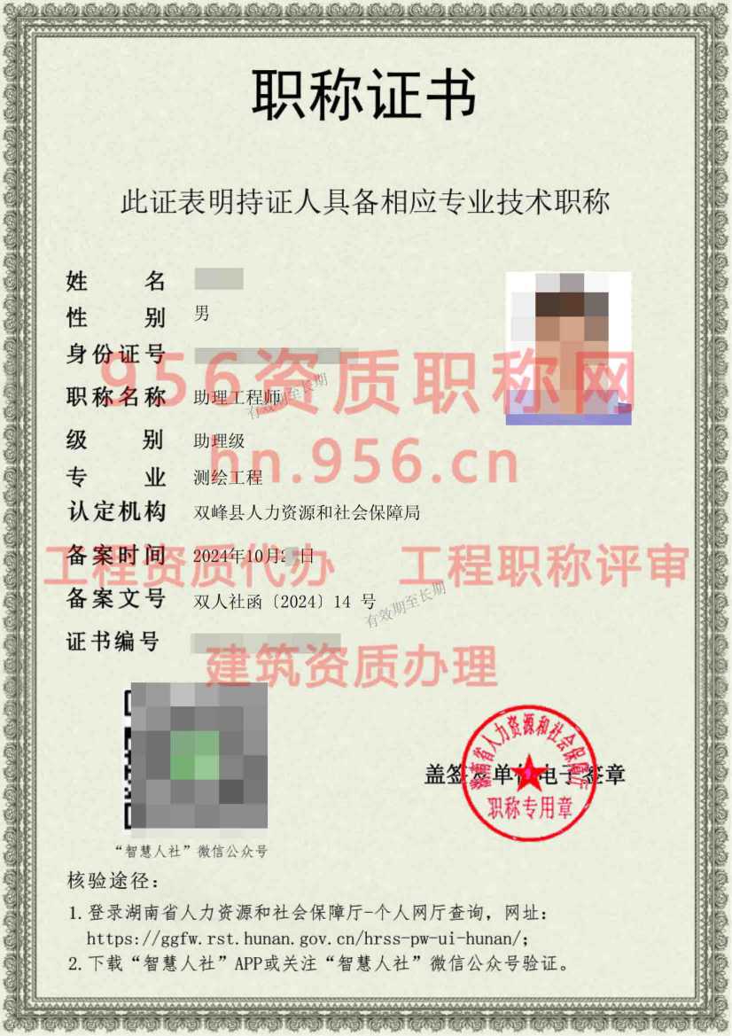 2024年10月湖南省测绘工程初级职称案例展示09